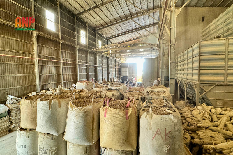 Chất đốt công nghiệp, củi đốt công nghiệp - Viên Nén Gỗ, Viên Nén Trấu, Bã Điều An Nguyên Phát - Công Ty TNHH TM DV SX An Nguyên Phát