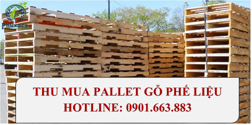 Thu mua pallet gỗ