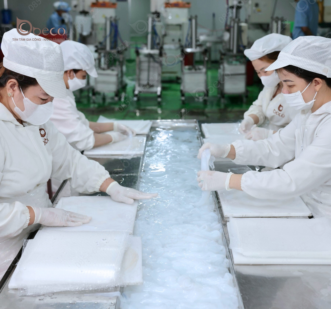 Gia công mặt nạ sinh học - Công Ty TNHH Sản Xuất Thương Mại Quốc Tế Beco
