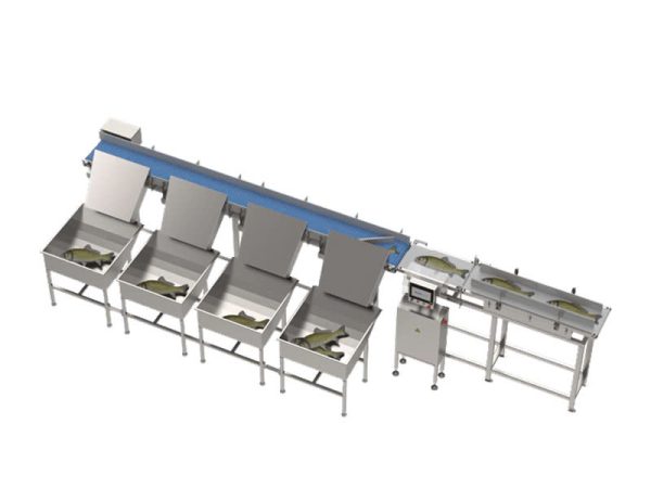 Máy cân phân loại sản phẩm