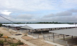 Thi công trang trại - Xử Lý Nước Thải á Châu - Công Ty Cổ Phần Năng Lượng á Châu