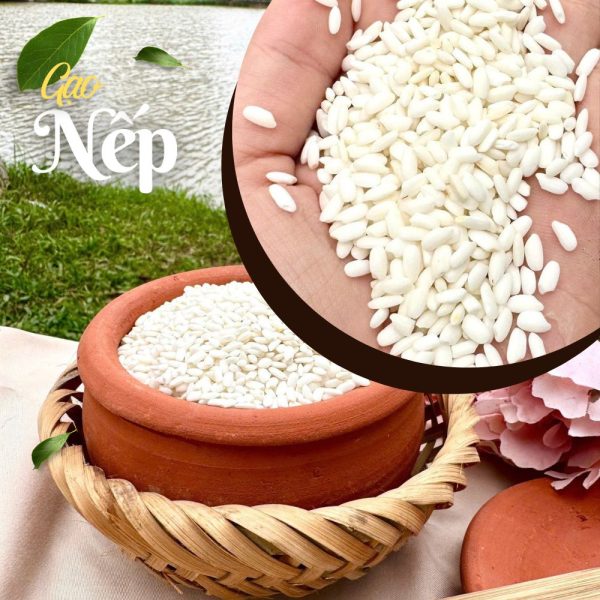 Gạo Nếp - Gạo Đại Việt - Công Ty Cổ Phần Đầu Tư Thương Mại Dịch Vụ Xuất Nhập Khẩu Đại Việt