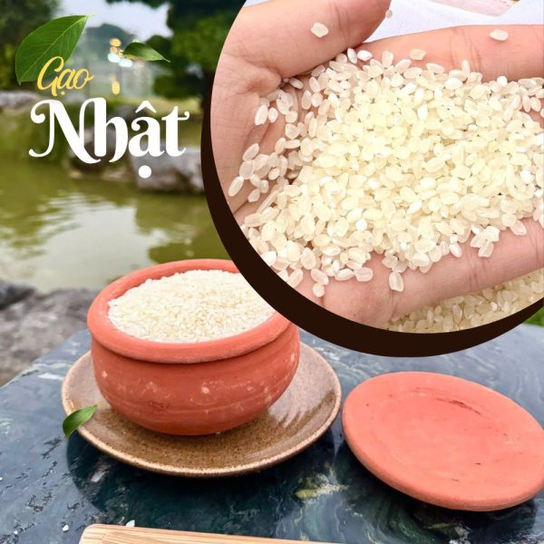 Gạo Nhật - Gạo Đại Việt - Công Ty Cổ Phần Đầu Tư Thương Mại Dịch Vụ Xuất Nhập Khẩu Đại Việt