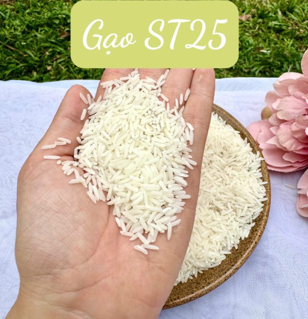 Gạo ST25 - Gạo Đại Việt - Công Ty Cổ Phần Đầu Tư Thương Mại Dịch Vụ Xuất Nhập Khẩu Đại Việt