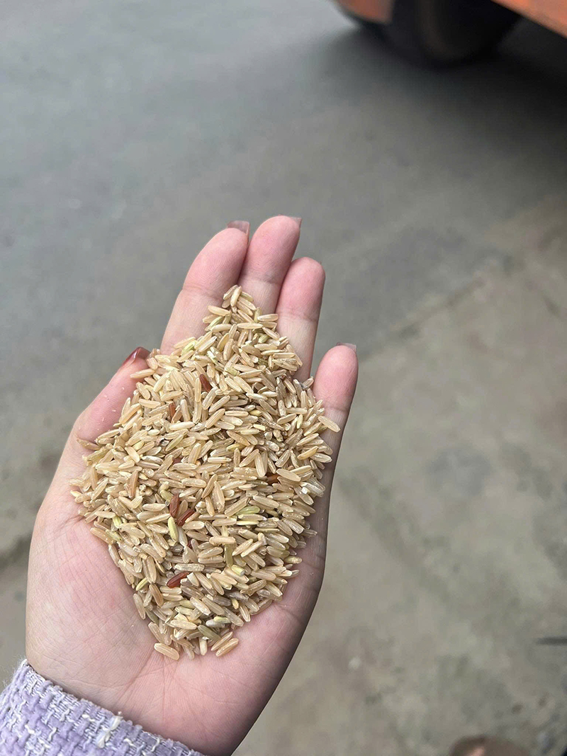Gạo Bia - Gạo Đại Việt - Công Ty Cổ Phần Đầu Tư Thương Mại Dịch Vụ Xuất Nhập Khẩu Đại Việt