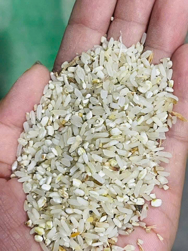 Gạo Bia - Gạo Đại Việt - Công Ty Cổ Phần Đầu Tư Thương Mại Dịch Vụ Xuất Nhập Khẩu Đại Việt