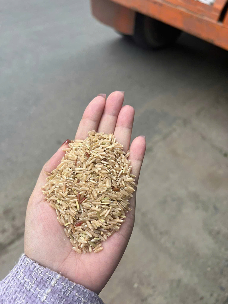 Gạo Bia - Gạo Đại Việt - Công Ty Cổ Phần Đầu Tư Thương Mại Dịch Vụ Xuất Nhập Khẩu Đại Việt