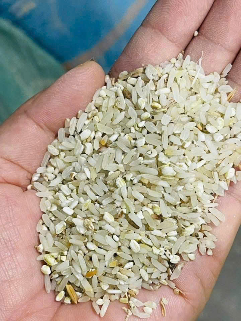 Gạo Bia - Gạo Đại Việt - Công Ty Cổ Phần Đầu Tư Thương Mại Dịch Vụ Xuất Nhập Khẩu Đại Việt