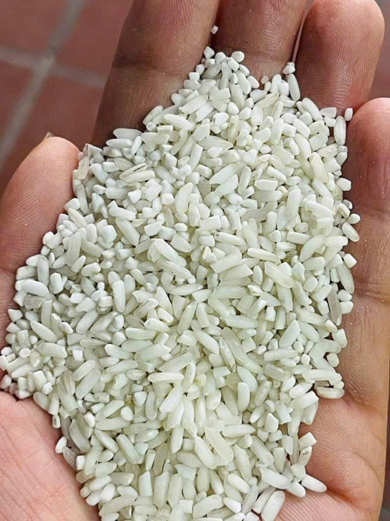 Gạo Bia - Gạo Đại Việt - Công Ty Cổ Phần Đầu Tư Thương Mại Dịch Vụ Xuất Nhập Khẩu Đại Việt