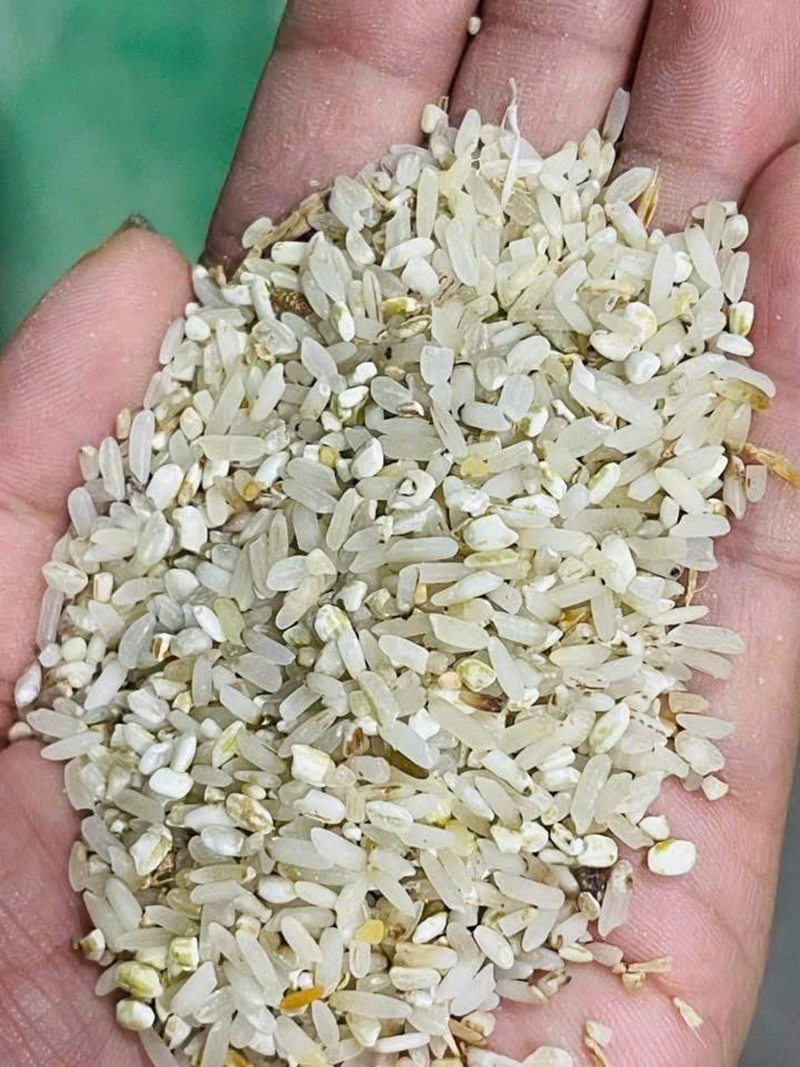 Gạo Bia - Gạo Đại Việt - Công Ty Cổ Phần Đầu Tư Thương Mại Dịch Vụ Xuất Nhập Khẩu Đại Việt