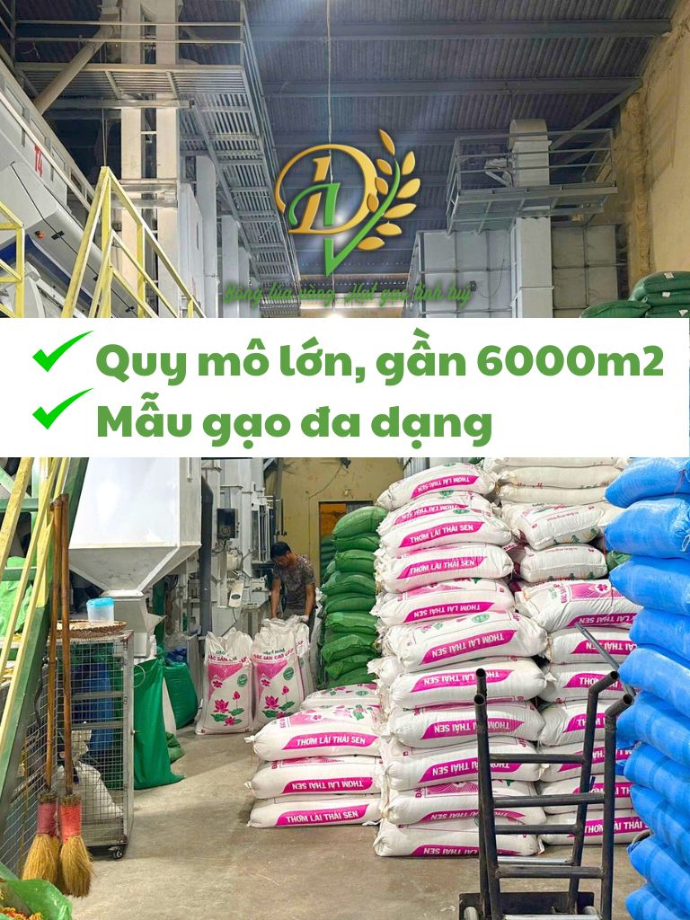 Hình ảnh nhà xưởng Đại Việt - Gạo Đại Việt - Công Ty Cổ Phần Đầu Tư Thương Mại Dịch Vụ Xuất Nhập Khẩu Đại Việt