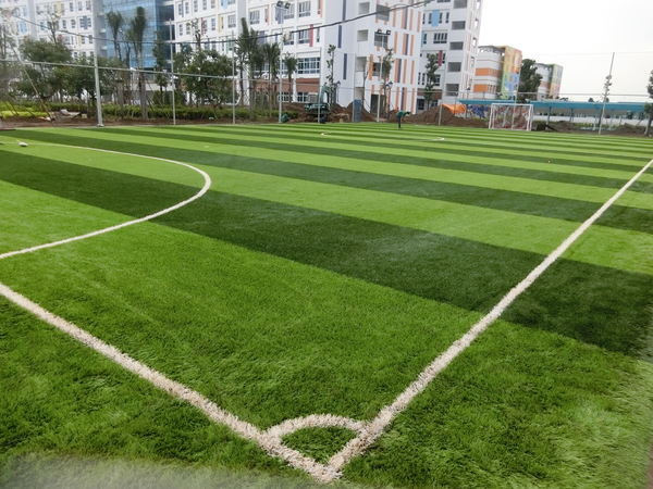 Sân bóng đá cỏ nhân tạo bệnh viện Nhi Đồng