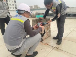 Hình ảnh thực tế