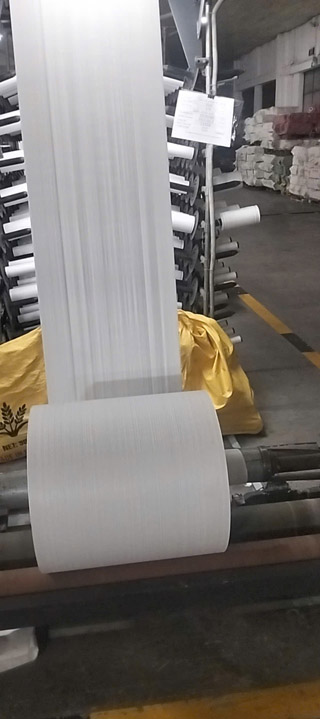 Manh PP tráng lồng PE