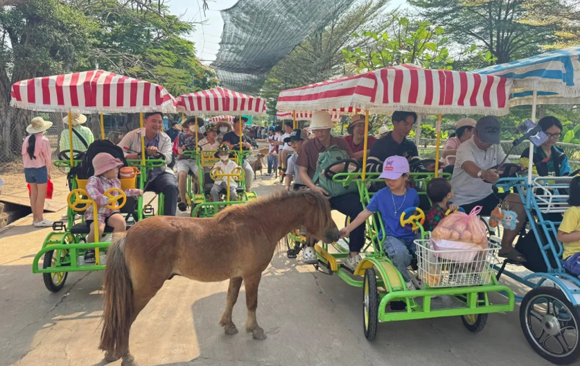 Hình ảnh hoạt động