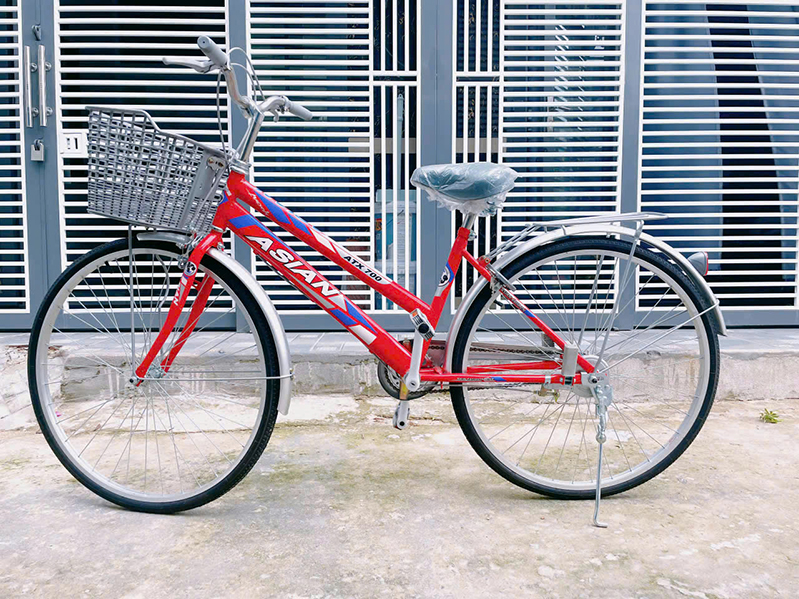 Xe đạp DAVI