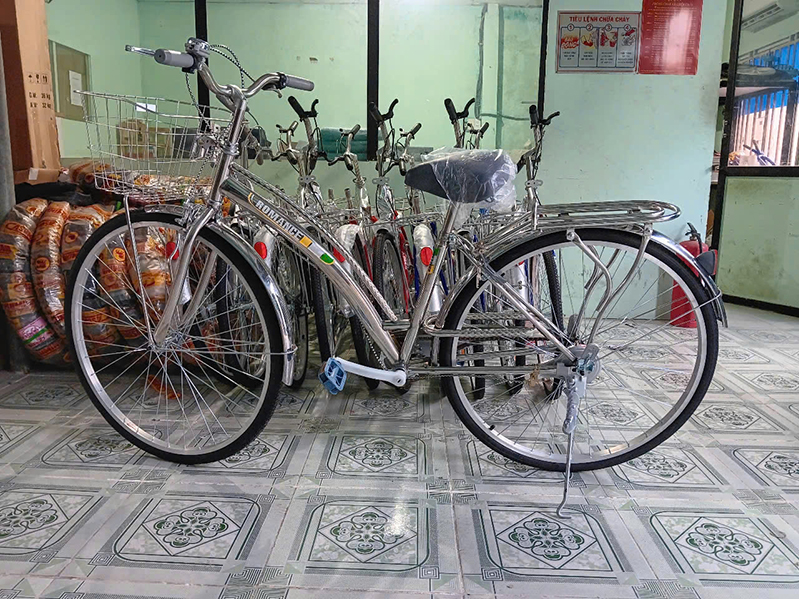 Xe đạp DAVI
