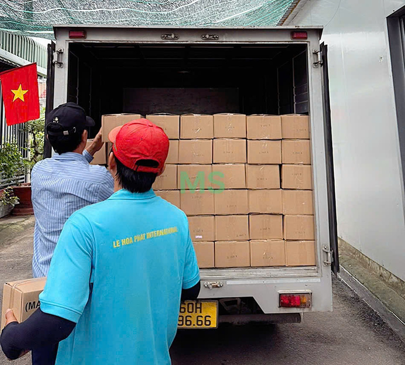 Màng PE quấn Pallet