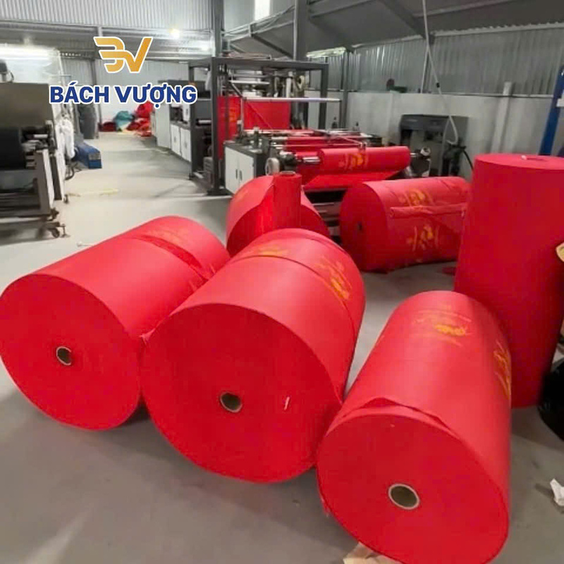 Hình ảnh nhà xưởng Bách Vượng - Túi Vải Không Dệt Bách Vượng - Công Ty Cổ Phần Tập Đoàn Đầu Tư Bách Vượng