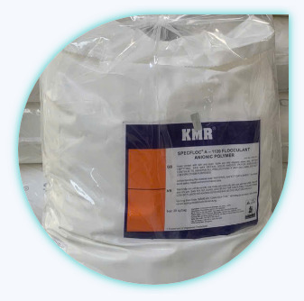 Polymer Anion