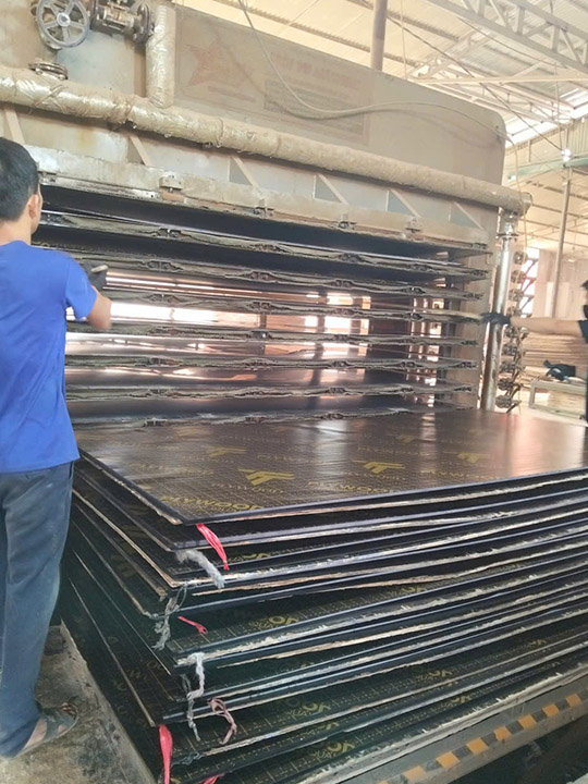 Xử lí ép phim