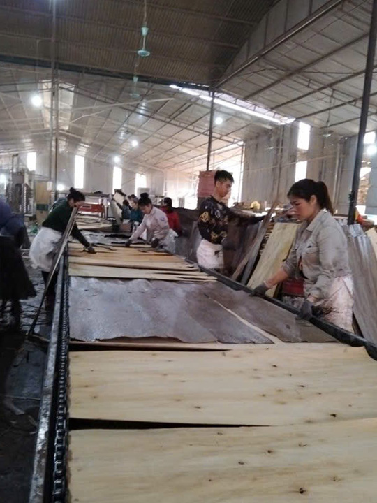 Xếp ván