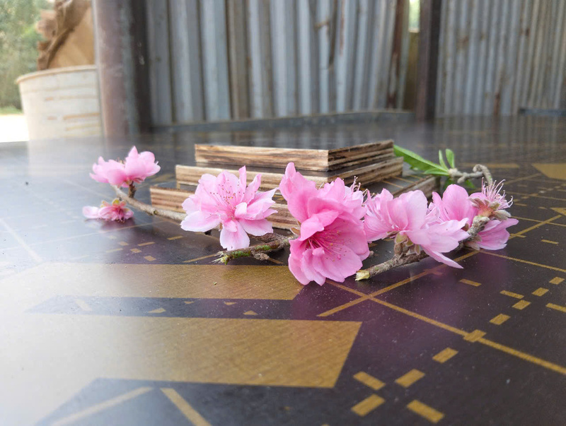 Mẫu ván cắt