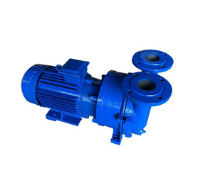 2BV Series Water Ring Vacuum Pump