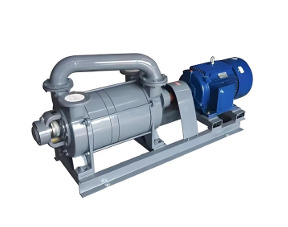 2SK Two Stage Water Ring Vacuum Pump