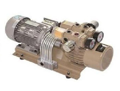 WZB Series Standard Oil-Free Rotary Vane Pump