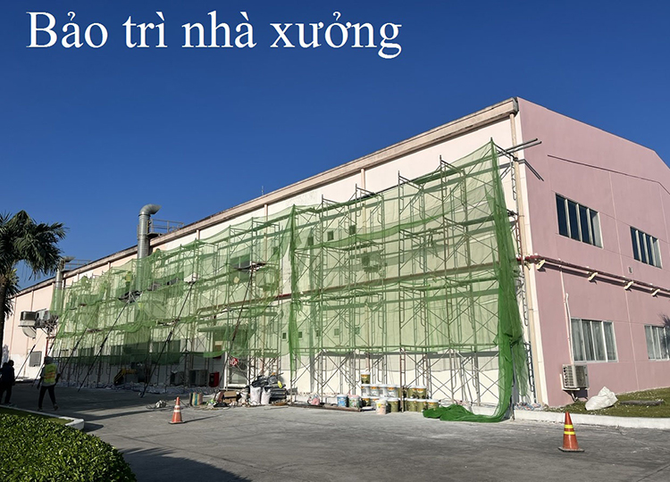 Hình ảnh công ty Hồ Thái Phát