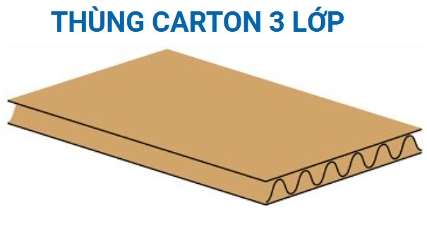 Thùng carton 3 lớp - Bao Bì Giấy Yuen Foong Yu - Công Ty TNHH Bao Bì Giấy Yuen Foong Yu Bình Dương