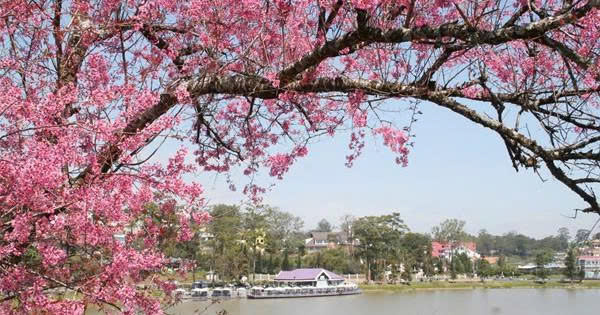 Tour du lịch trọn gói - Công Ty TNHH Du Lịch Việt Hana