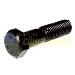 Bulong cường độ cao 10.9