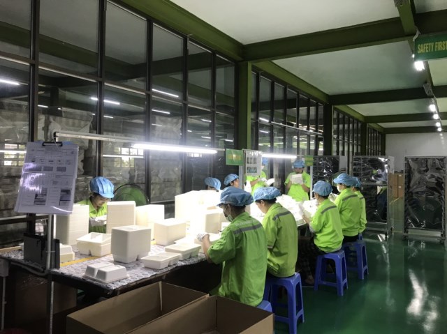 Hình ảnh nhà máy Honha Eco Pulp Việt Nam - Khay Giấy Honha Eco Pulp Việt Nam - Công Ty TNHH Công Nghệ Đóng Gói Honha Eco Pulp Việt Nam