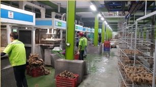 Hình ảnh nhà máy Honha Eco Pulp Việt Nam - Khay Giấy Honha Eco Pulp Việt Nam - Công Ty TNHH Công Nghệ Đóng Gói Honha Eco Pulp Việt Nam