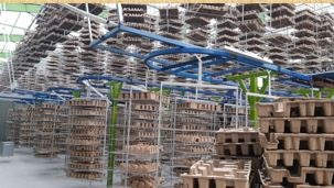 Hình ảnh nhà máy Honha Eco Pulp Việt Nam - Khay Giấy Honha Eco Pulp Việt Nam - Công Ty TNHH Công Nghệ Đóng Gói Honha Eco Pulp Việt Nam