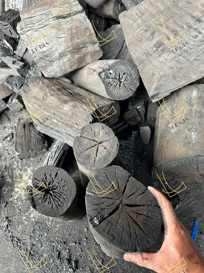 Than củi bạch đàn