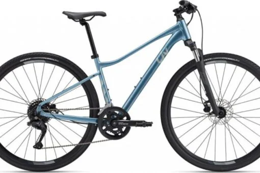 Xe đạp địa hình Giant Liv Rove 2DD