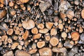 Củi cao su đòn - Chất Đốt Công Nghiệp Lâm Hòa - Công Ty TNHH Sản Xuất Thương Mại Dịch Vụ Lâm Hòa