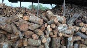 Củi đốt lò - Chất Đốt Công Nghiệp Lâm Hòa - Công Ty TNHH Sản Xuất Thương Mại Dịch Vụ Lâm Hòa