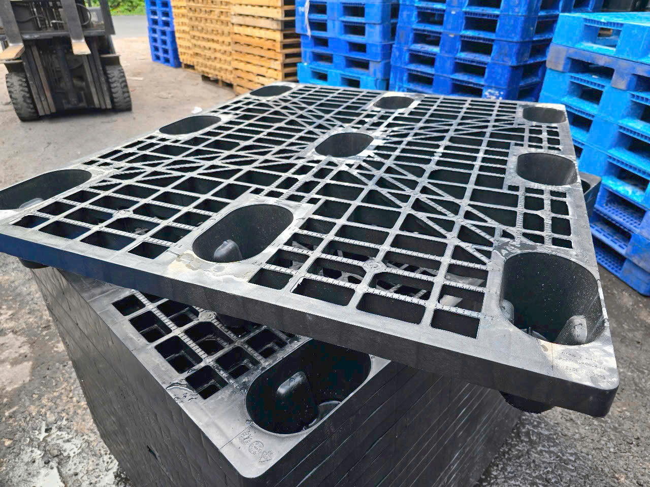 Pallet nhựa