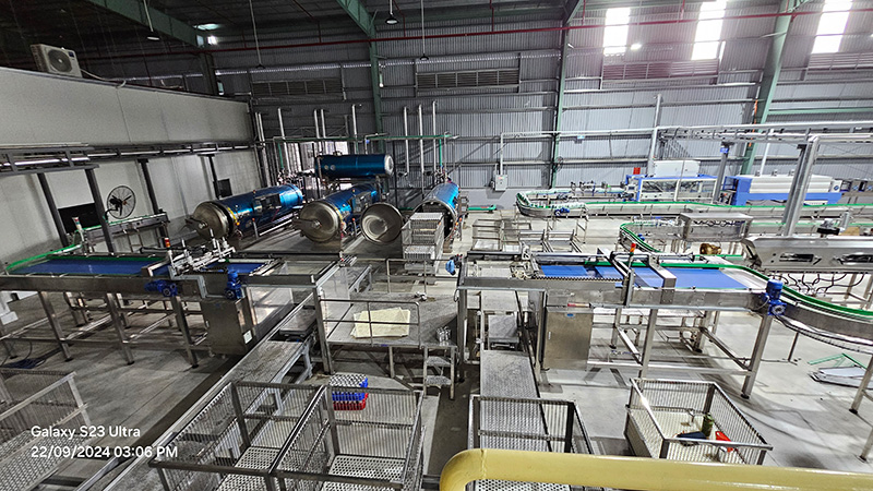 khu vực máy xếp lon vào sọt, retot và xả lon từ sọt sau triệt trùng