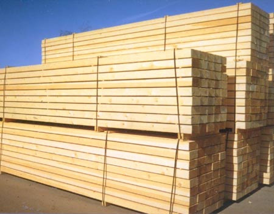 Gỗ nguyên liệu - Gỗ Ngọc Châu - Công Ty TNHH Sản Xuất Thương Mại Gỗ Ngọc Châu