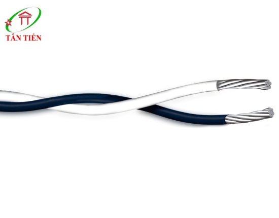 Cáp điều khiển Lion DuAV 2x50 Lion