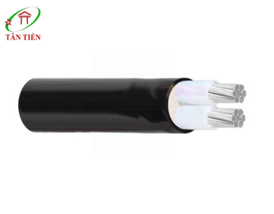 Dây cáp điện Lion AXV/DSTA 2x120 Lion