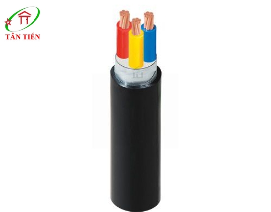 Dây cáp điện Lion CVV/DSTA 3x50 Lion