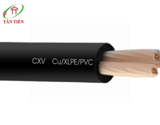 Dây cáp điện Lion CXV 3x250 Lion