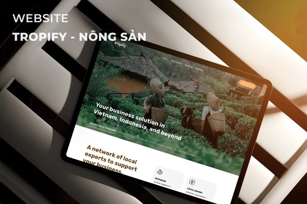 Phát triển website