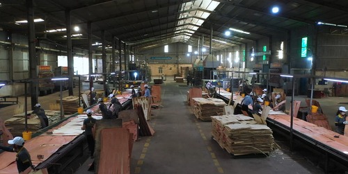 Nhà máy Hoàng Châu Plywood - Ván ép Hoàng Châu - Công Ty Cổ Phần Sản Xuất Thương Mại Hoàng Châu Plywood